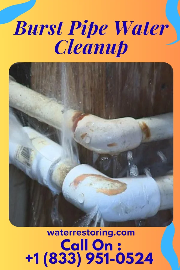 Burst Pipe Water Cleanup in Scarsdale, NY