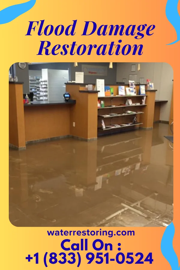 Flood Damage Restoration in Scarsdale, NY