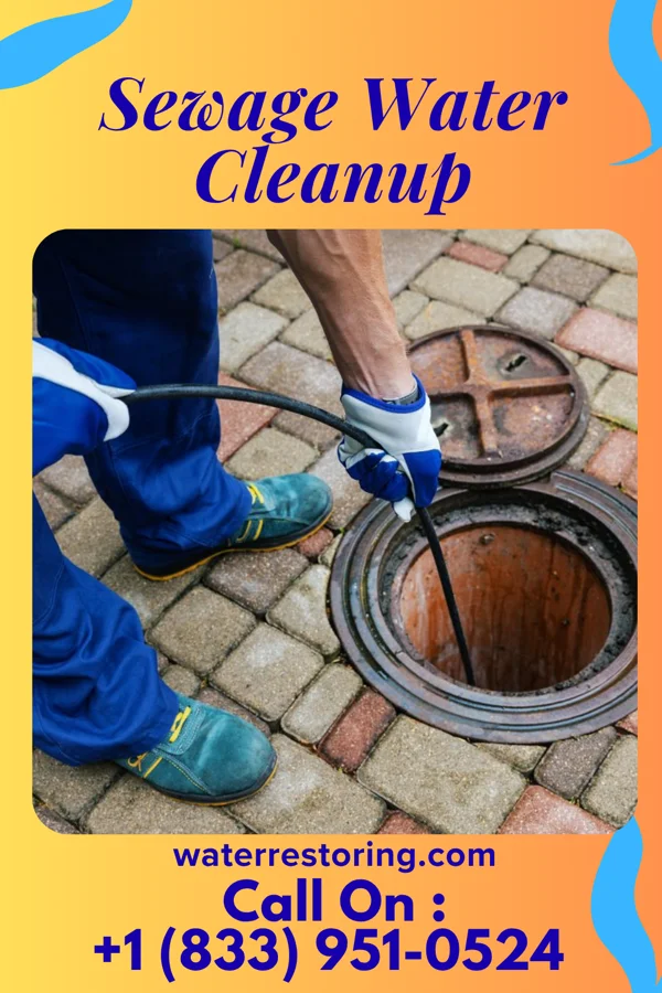 Sewage Water Cleanup in Scarsdale, NY