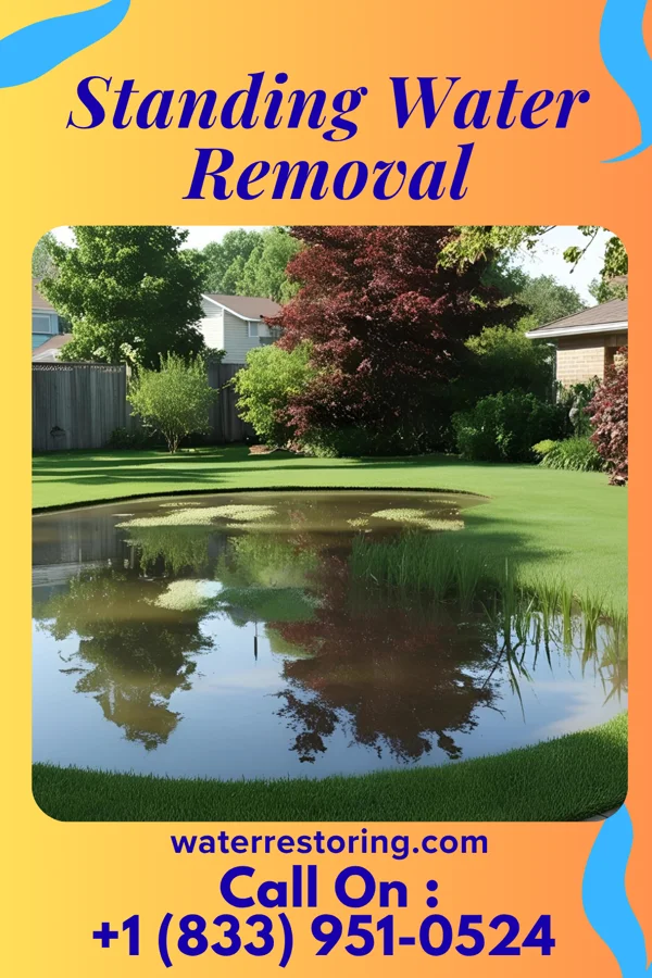 Standing Water Removal in Scarsdale, NY